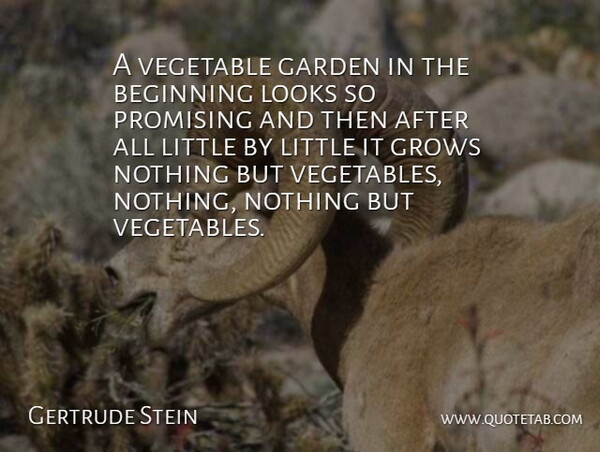 Gertrude Stein Quote About Food, Garden, Vegetables: A Vegetable Garden In The...