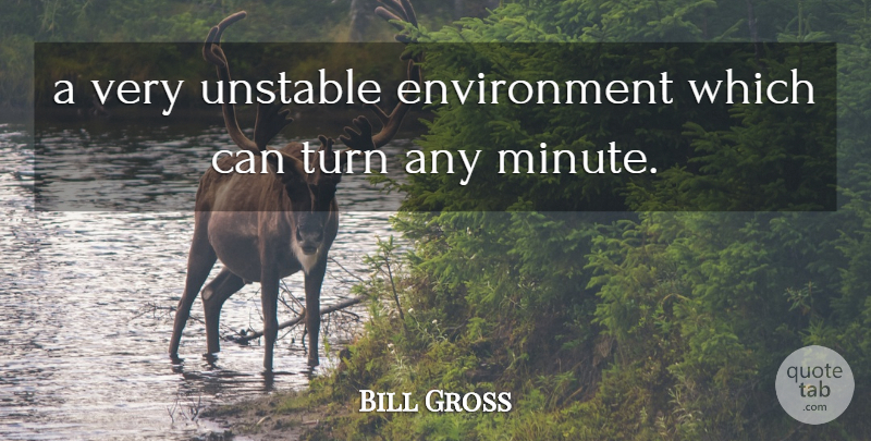 Bill Gross Quote About Environment, Turn, Unstable: A Very Unstable Environment Which...