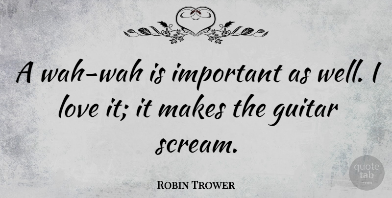 Robin Trower Quote About Guitar, Important, Scream: A Wah Wah Is Important...