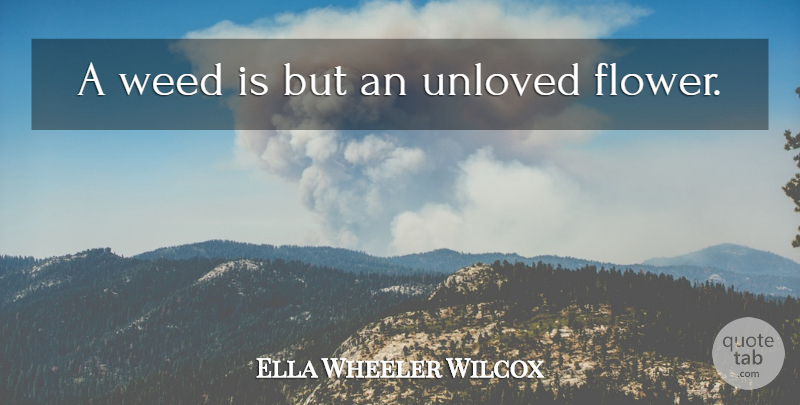 Ella Wheeler Wilcox Quote About Weed, Flower, Acceptance: A Weed Is But An...