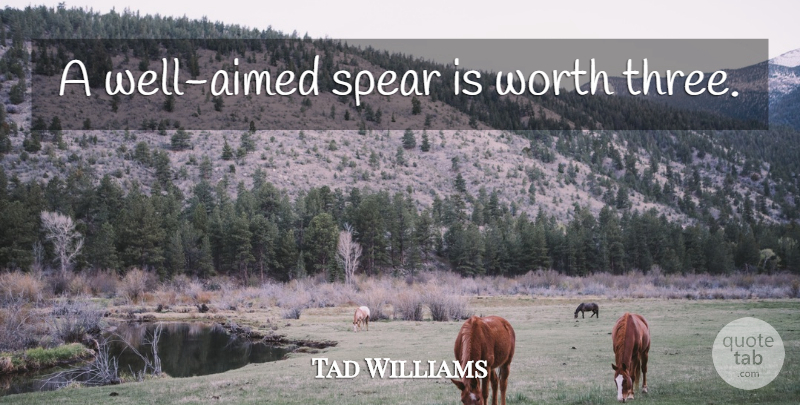Tad Williams Quote About Three, Spears, Wells: A Well Aimed Spear Is...