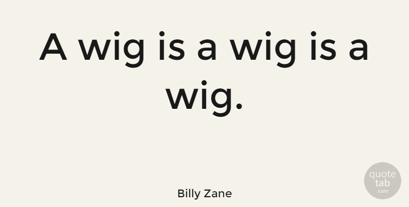 Billy Zane Quote About Wigs: A Wig Is A Wig...