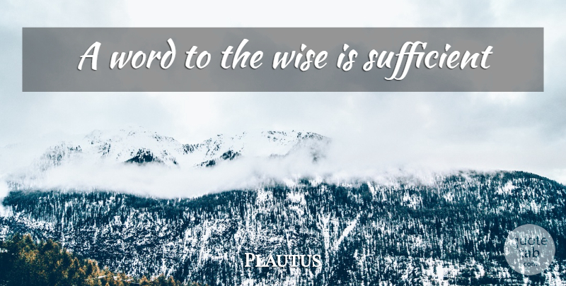 Plautus Quote About Wise, Wise Words, Sufficient: A Word To The Wise...