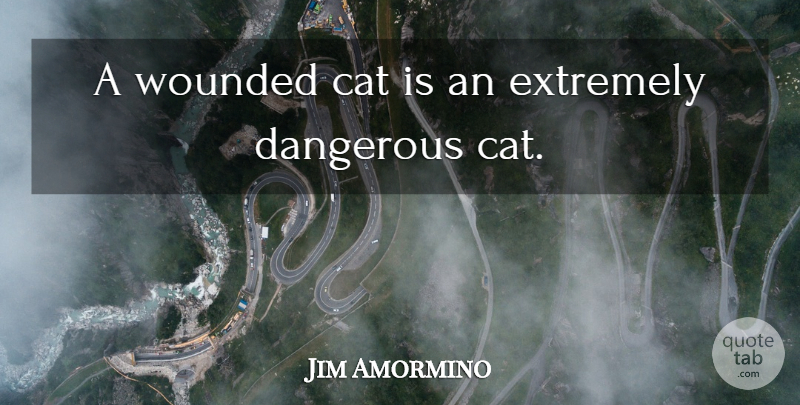 Jim Amormino Quote About Cat, Dangerous, Extremely, Wounded: A Wounded Cat Is An...
