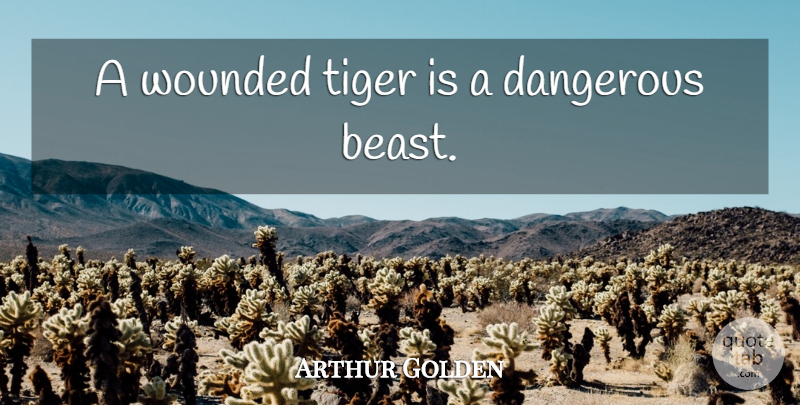 Arthur Golden Quote About Beast, Dangerous, Wounded: A Wounded Tiger Is A...