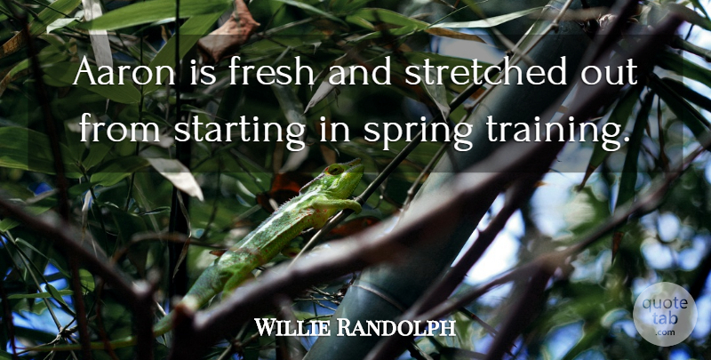 Willie Randolph Quote About Aaron, Fresh, Spring, Starting, Stretched: Aaron Is Fresh And Stretched...