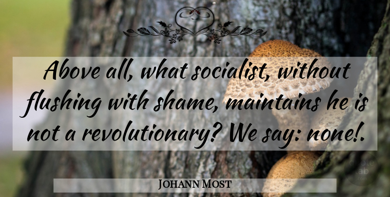 Johann Most Quote About Revolutionary, Shame, Flushing: Above All What Socialist Without...