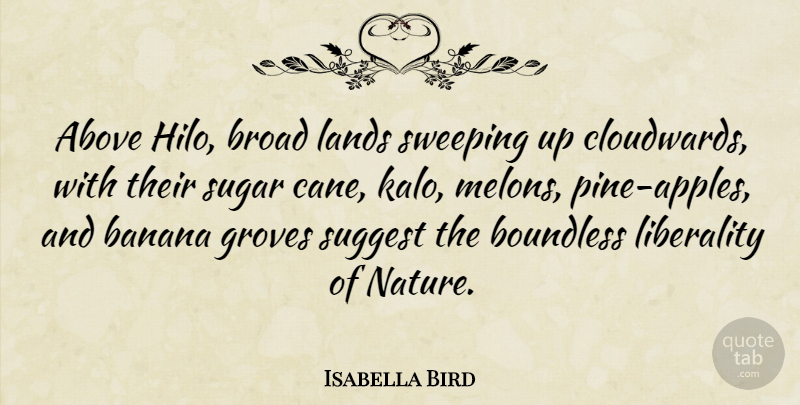 Isabella Bird Quote About Above, Boundless, Broad, Groves, Lands: Above Hilo Broad Lands Sweeping...
