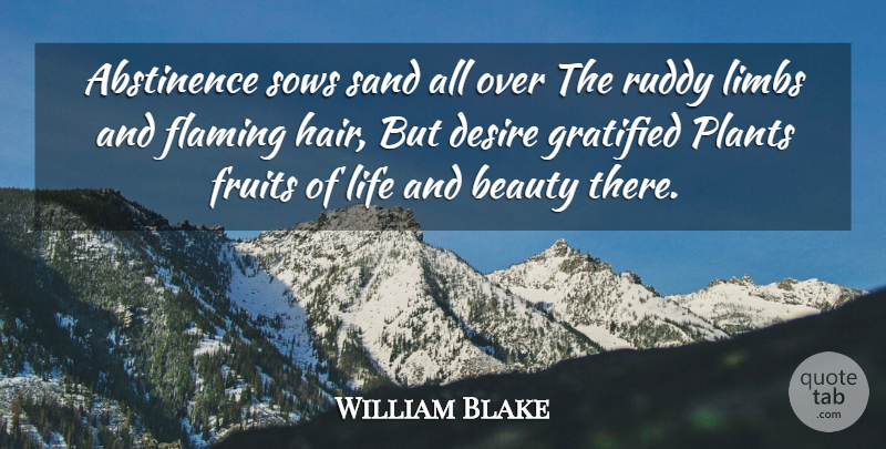 William Blake Quote About Life, Hair, Desire: Abstinence Sows Sand All Over...