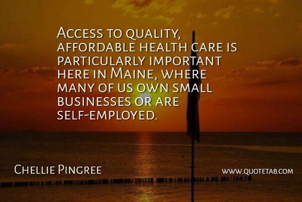 Chellie Pingree Quote About Access, Affordable, Businesses, Care, Health: Access To Quality Affordable Health...
