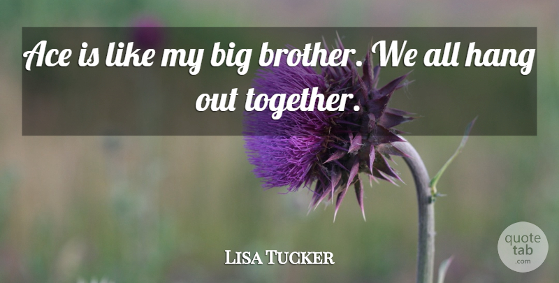 Lisa Tucker Quote About Ace, Hang: Ace Is Like My Big...