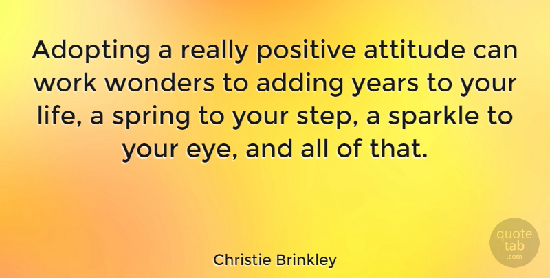 Christie Brinkley Quote About Adding, Adopting, Attitude, Life, Positive: Adopting A Really Positive Attitude...