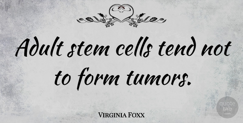Virginia Foxx Quote About Cells, Adults, Form: Adult Stem Cells Tend Not...
