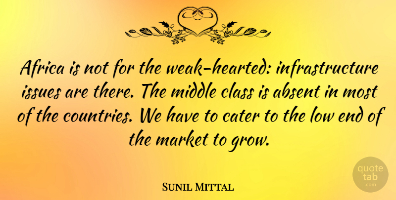Sunil Mittal Quote About Absent, Africa, Cater, Class, Issues: Africa Is Not For The...