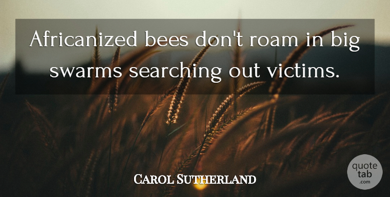 Carol Sutherland Quote About Bees, Searching: Africanized Bees Dont Roam In...