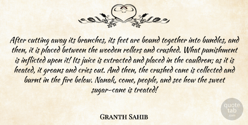 Granth Sahib Quote About Bound, Burnt, Cane, Collected, Cries: After Cutting Away Its Branches...
