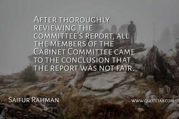 Saifur Rahman Quote About Cabinet, Came, Committee, Conclusion, Members: After Thoroughly Reviewing The Committees...