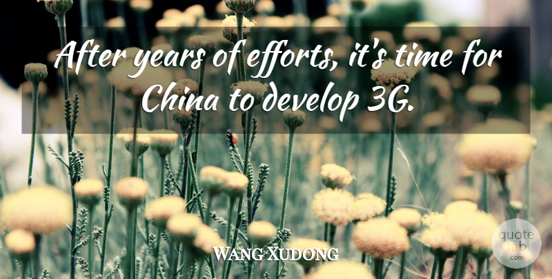 Wang Xudong Quote About China, Develop, Time: After Years Of Efforts Its...