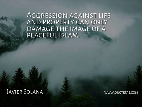 Javier Solana Quote About Against, Aggression, Damage, Image, Life: Aggression Against Life And Property...