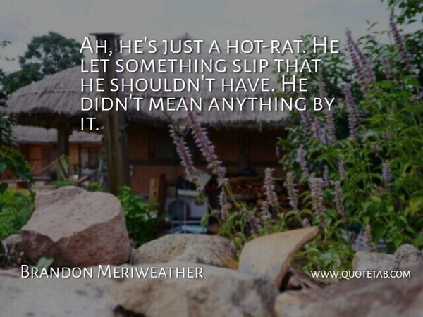 Brandon Meriweather Quote About Mean, Slip: Ah Hes Just A Hot...