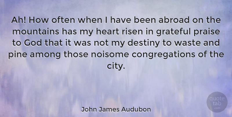 John James Audubon Quote About Abroad, Among, God, Grateful, Mountains: Ah How Often When I...