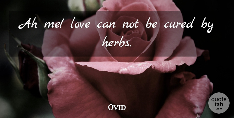 Ovid Quote About Life, Herbs, Can Not: Ah Me Love Can Not...