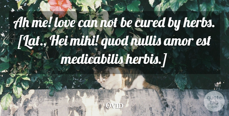 Ovid Quote About Love, Herbs, Amor: Ah Me Love Can Not...