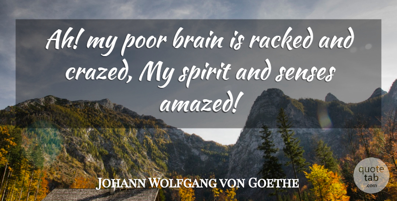 Johann Wolfgang von Goethe Quote About Brain, Spirit, Poor: Ah My Poor Brain Is...