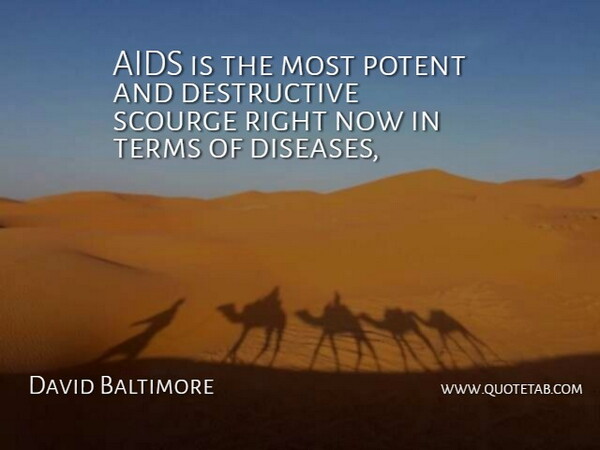 David Baltimore Quote About Aids, Potent, Scourge, Terms: Aids Is The Most Potent...