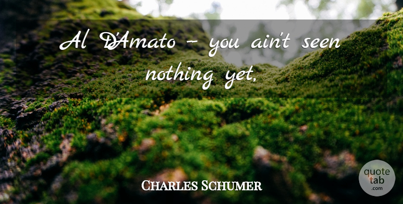 Charles Schumer Quote About Al, Seen: Al Damato You Aint Seen...