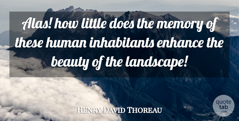 Henry David Thoreau Quote About Beauty, Memories, Landscape: Alas How Little Does The...