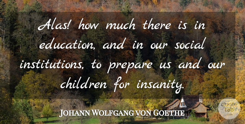 Johann Wolfgang von Goethe Quote About Education, Children, Insanity: Alas How Much There Is...