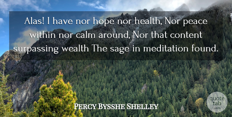 Percy Bysshe Shelley Quote About Meditation, Sage, Calm: Alas I Have Nor Hope...
