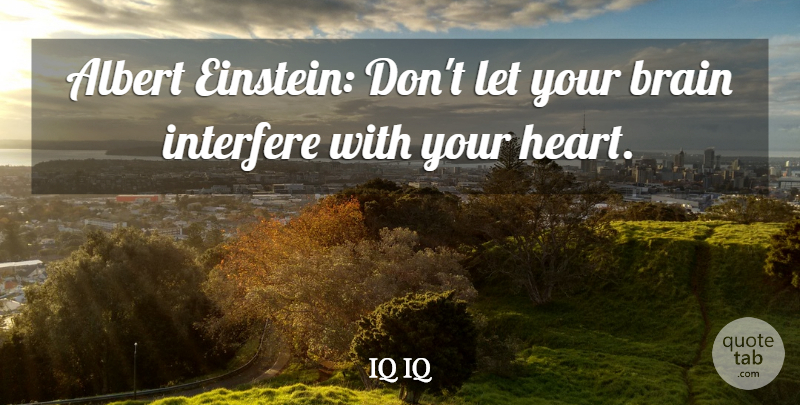 IQ IQ Quote About Albert, Brain, Interfere: Albert Einstein Dont Let Your...