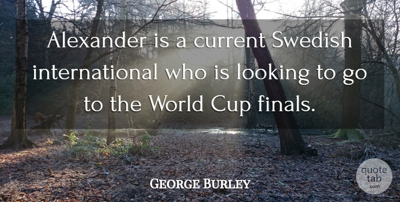 George Burley Quote About Alexander, Cup, Current, Looking, Swedish: Alexander Is A Current Swedish...