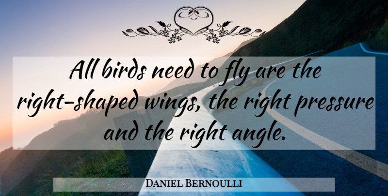 Daniel Bernoulli Quote About Wings, Bird, Pressure: All Birds Need To Fly...