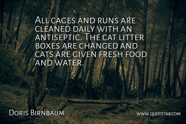 Doris Birnbaum Quote About Boxes, Cat, Cats, Changed, Cleaned: All Cages And Runs Are...