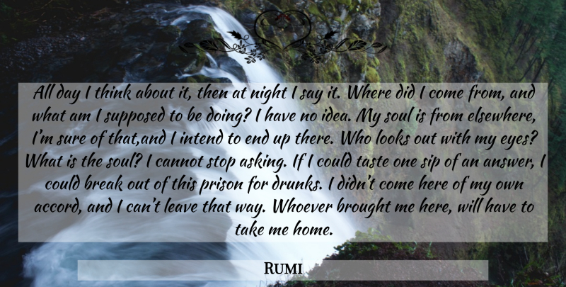 Rumi Quote About Eye, Home, Night: All Day I Think About...