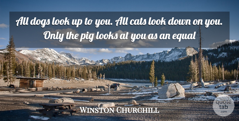 Winston Churchill Quote About Dog, Clever, Cat: All Dogs Look Up To...