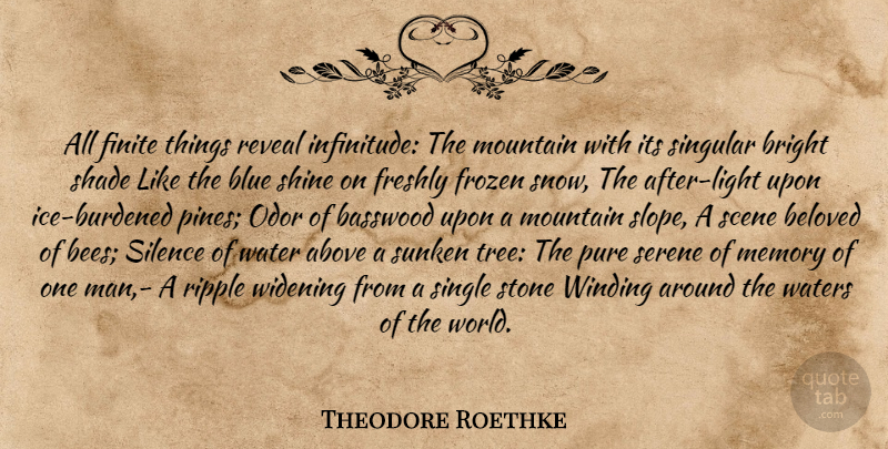 Theodore Roethke Quote About Memories, Men, Shine On: All Finite Things Reveal Infinitude...