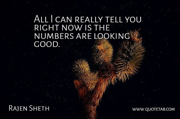 Rajen Sheth Quote About Looking, Numbers: All I Can Really Tell...