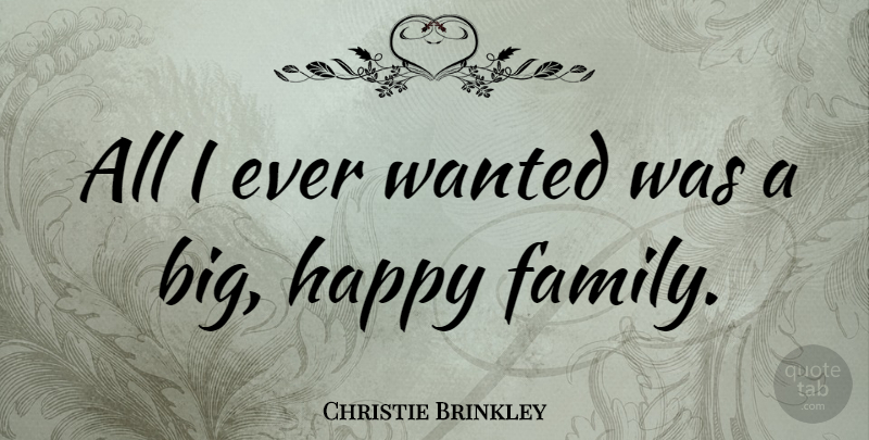 Christie Brinkley Quote About Family: All I Ever Wanted Was...