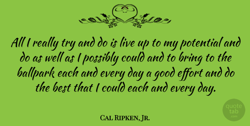 Cal Ripken, Jr. Quote About Effort, Trying, Wells: All I Really Try And...
