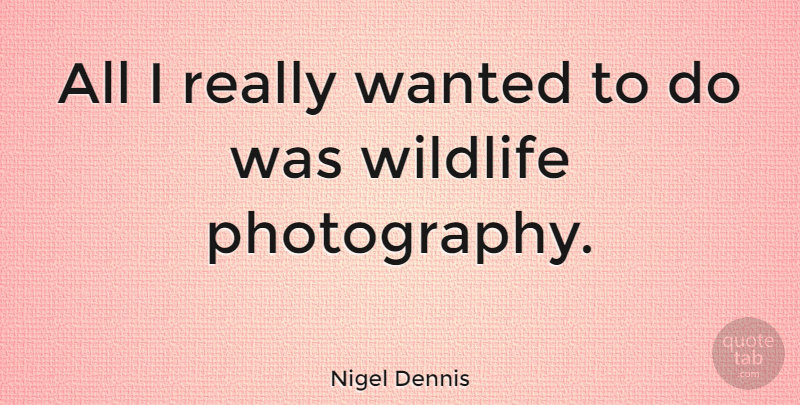 Nigel Dennis Quote About Photography, Wildlife, Wanted: All I Really Wanted To...