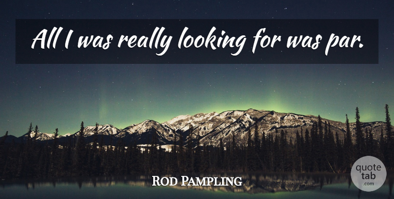 Rod Pampling Quote About Looking: All I Was Really Looking...