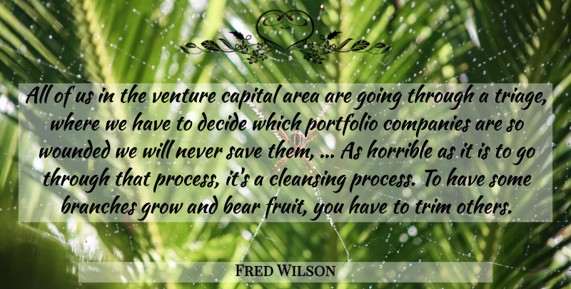 Fred Wilson Quote About Area, Bear, Branches, Capital, Cleansing: All Of Us In The...