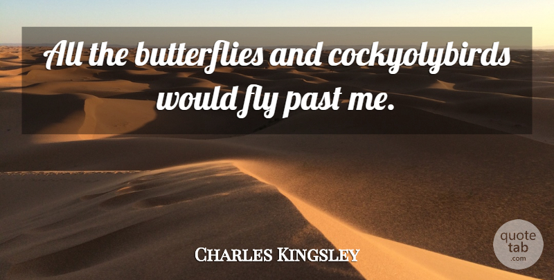 Charles Kingsley Quote About Butterfly, Past: All The Butterflies And Cockyolybirds...