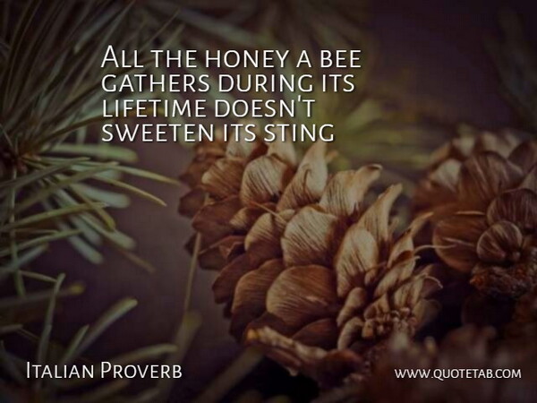 Italian Proverb Quote About Bee, Gathers, Honey, Lifetime, Sting: All The Honey A Bee...