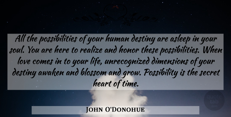 John O'Donohue Quote About Heart, Destiny, Soul: All The Possibilities Of Your...
