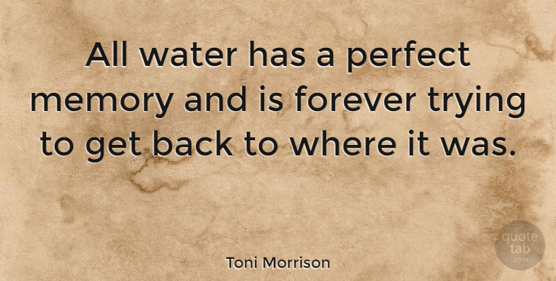 Toni Morrison Quote About Nature, Memories, Reality: All Water Has A Perfect...